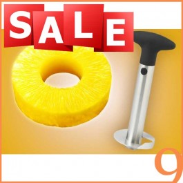 Stainless Steel Pineapple Corer